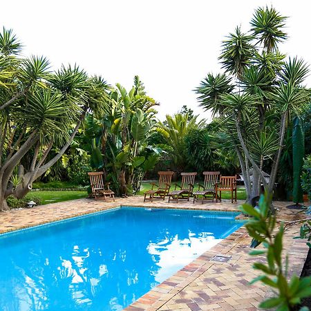 Secret Garden Guesthouse Bloubergstrand Eksteriør billede