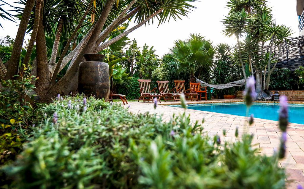 Secret Garden Guesthouse Bloubergstrand Eksteriør billede