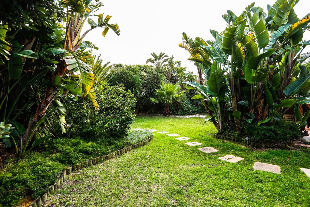 Secret Garden Guesthouse Bloubergstrand Eksteriør billede
