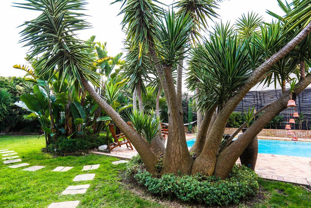 Secret Garden Guesthouse Bloubergstrand Eksteriør billede