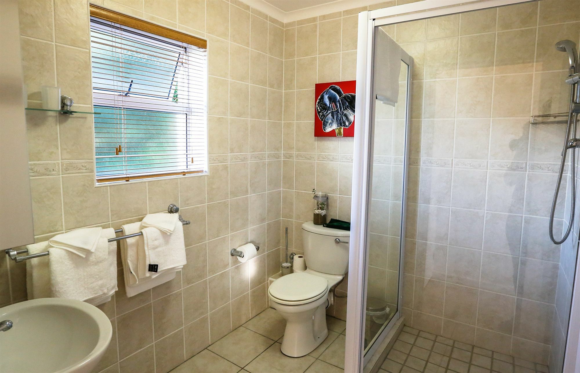 Secret Garden Guesthouse Bloubergstrand Eksteriør billede